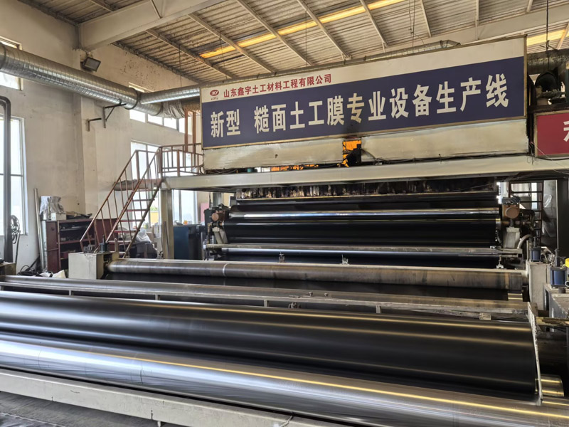 糙面土工膜專業(yè)設(shè)備生產(chǎn)線.jpg