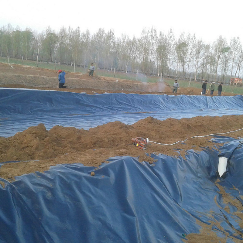山東德州：麥田旁蓄水池鋪設(shè)防滲土工膜，守護(hù)水資源安全