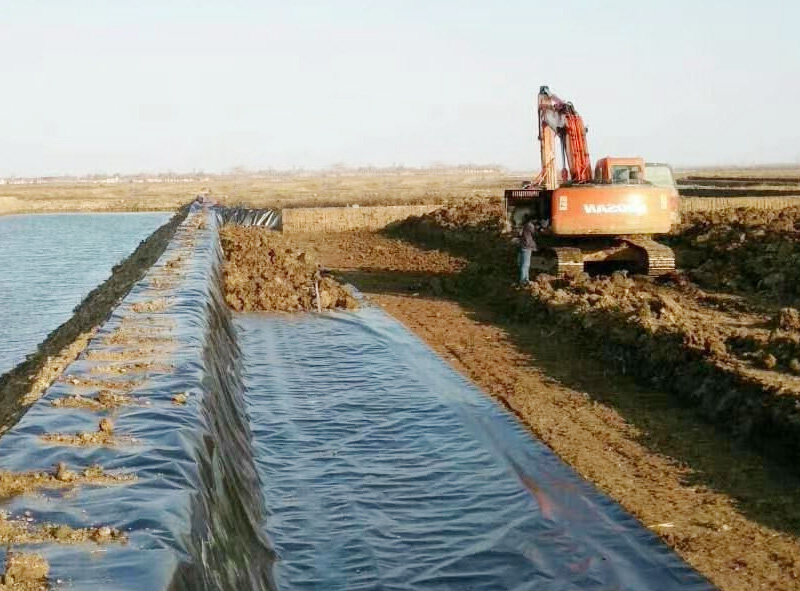 河北藕池防滲專用膜鋪設現場.jpg
