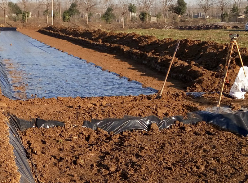 山東濟寧藕池剛鋪設好了防滲膜.jpg