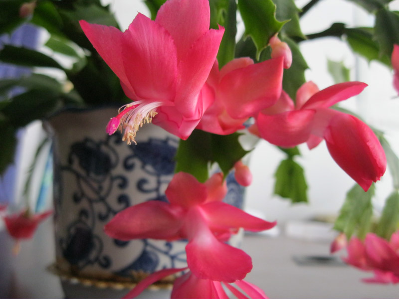 土工布廠家有“雷鋒”在公交上的溫暖接力