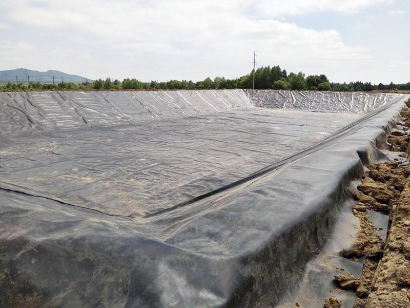 石家莊魚塘防滲土工膜.jpg
