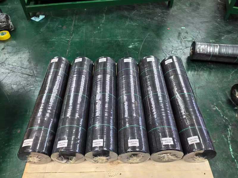 山東鑫宇土工布：助力青島出口韓國防草布業務，開啟元宵前的新征程